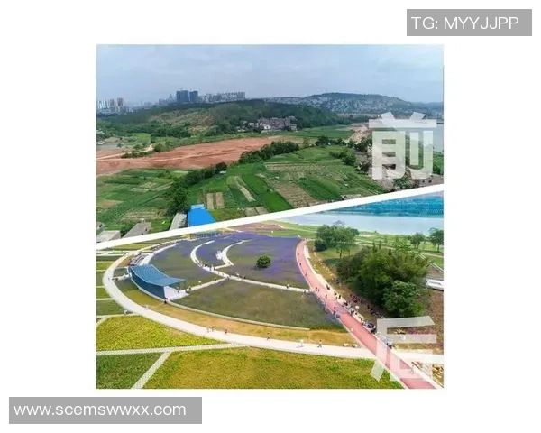 重庆网球队的蜕变之路全国锦标赛特别报道展现新风貌与未来愿景